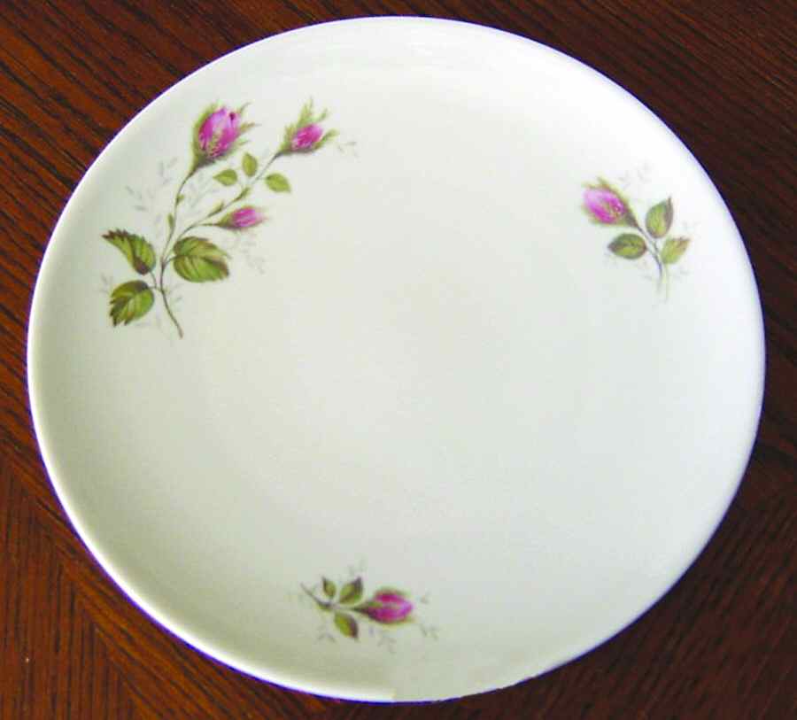 HUT1472 Dinner Plate by Hutschenreuther-1
