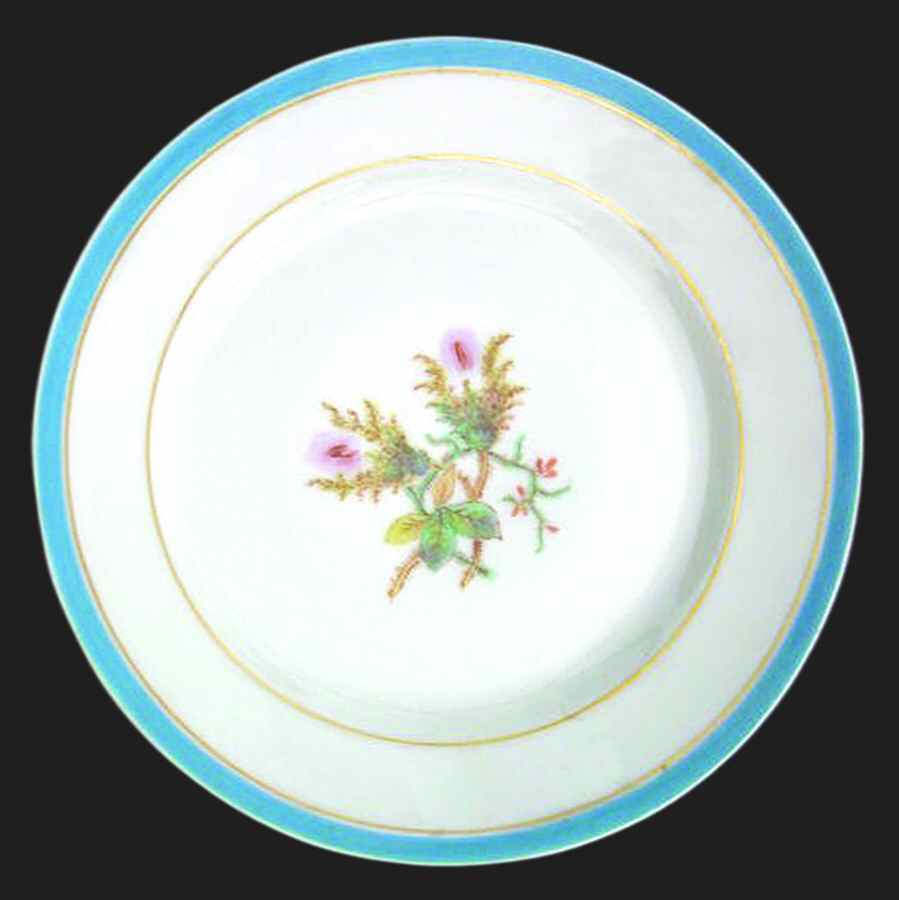 H3180 Dinner Plate by Haviland-1