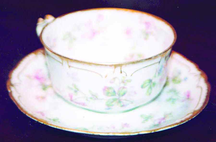 Schleiger 50-1 Flat Cup & Saucer Set by Haviland-1