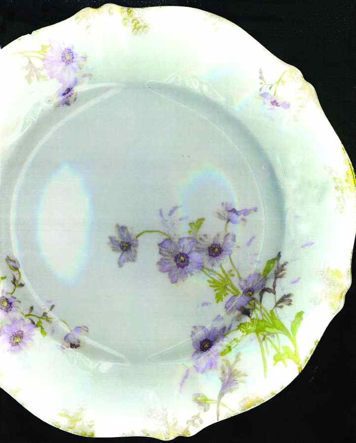 Schleiger 1039-1 Dinner Plate by Haviland-1