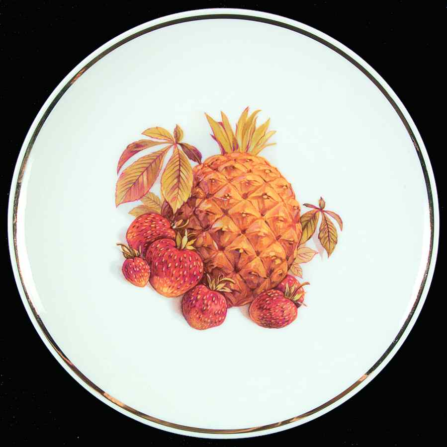 HUT1479 Salad Plate by Hutschenreuther-1