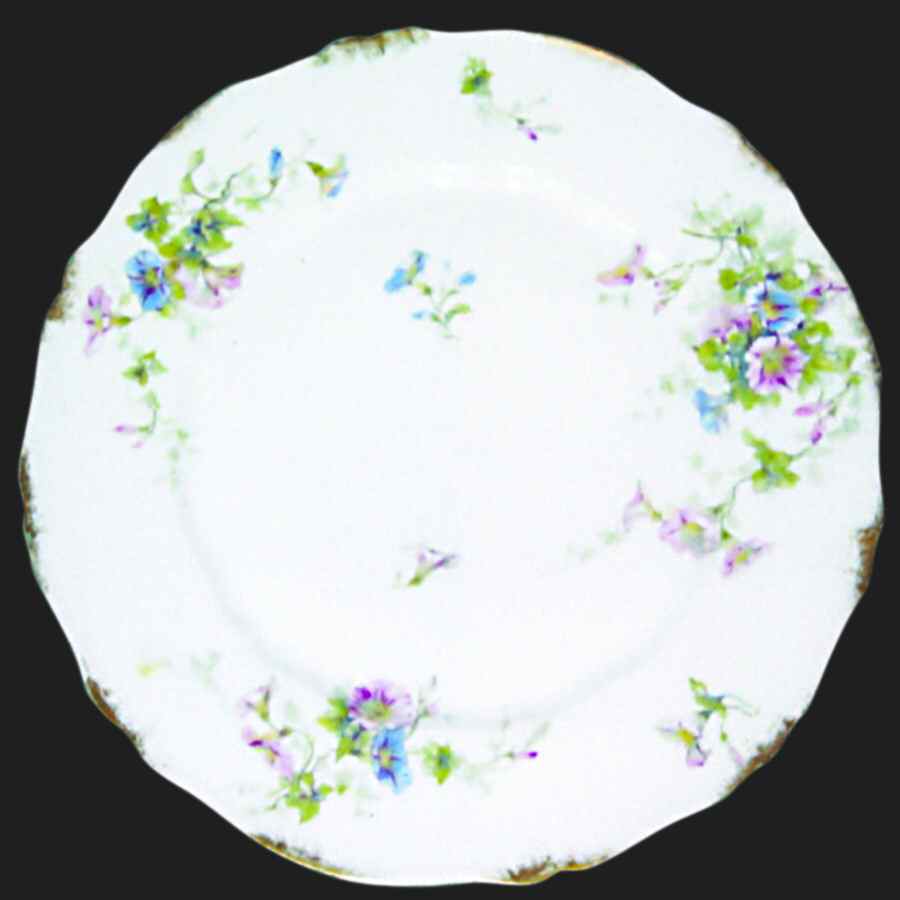 Schleiger 333-8 Dinner Plate by Haviland-1