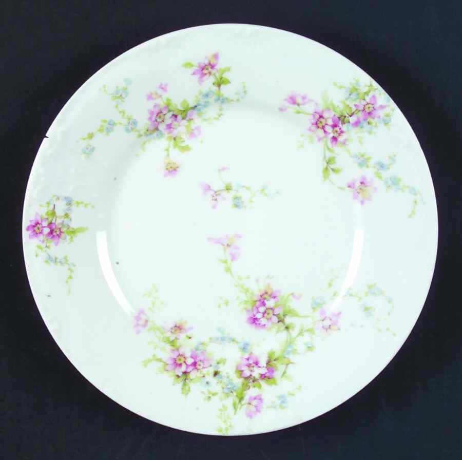 Schleiger 1014-10 Dinner Plate by Haviland-1