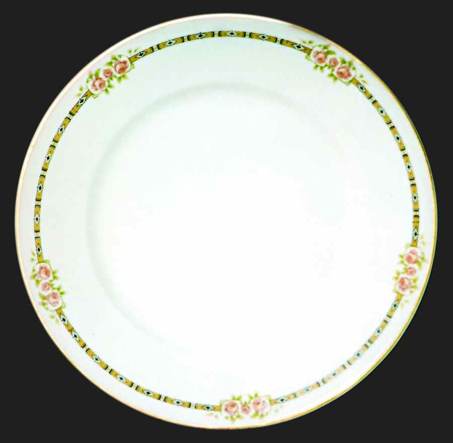 H3197 Dinner Plate by Haviland-1