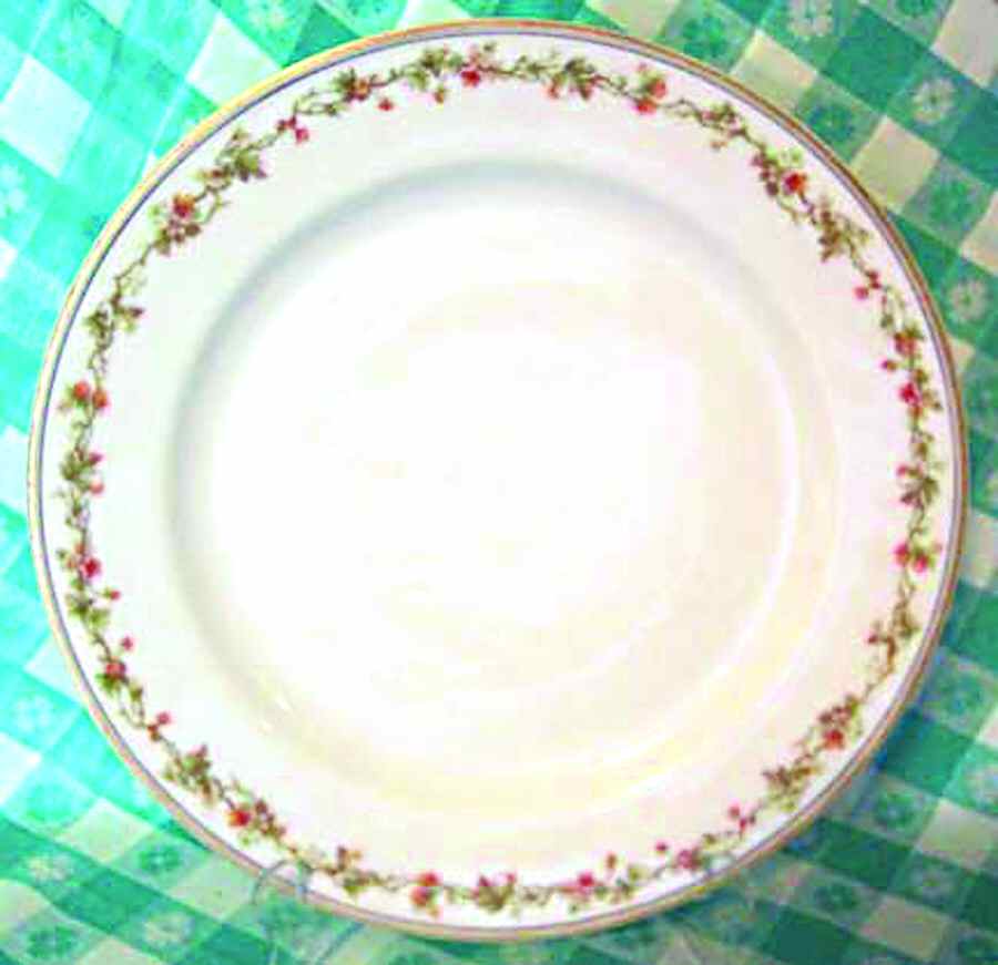 Schleiger 538-1 Dinner Plate by Haviland-1