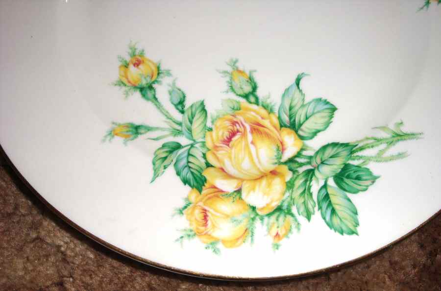 HC919 Dinner Plate by Heinrich - H&C-1