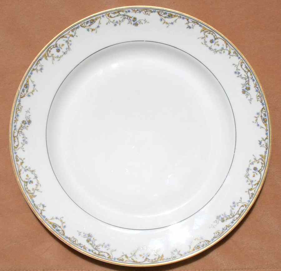 H3207 Dinner Plate by Haviland-1