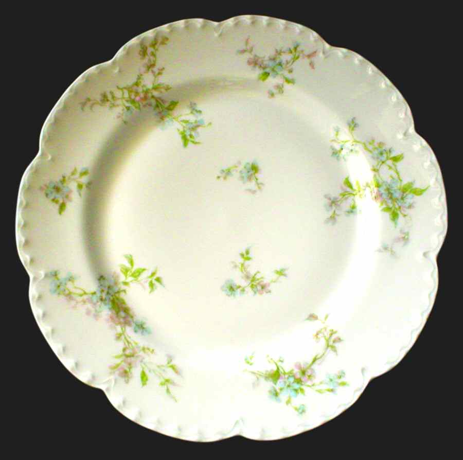 H3209 Dinner Plate by Haviland-1