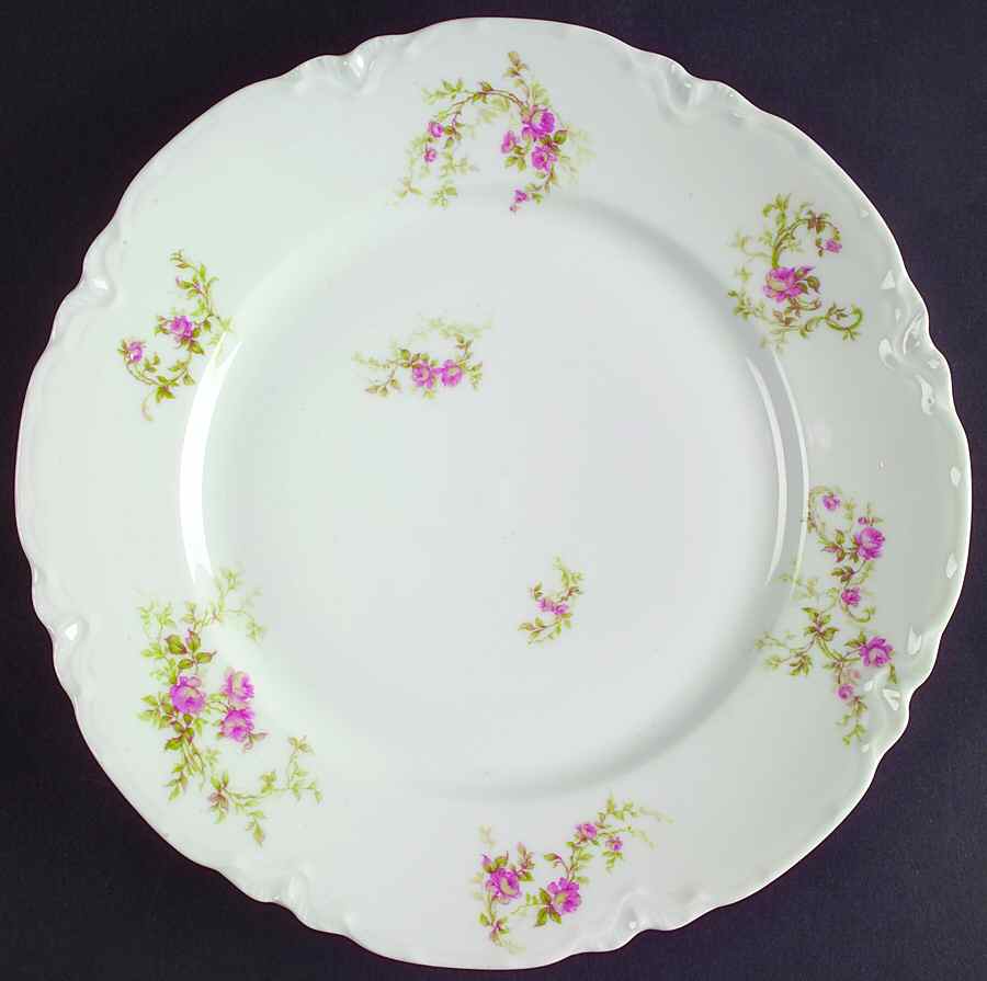 H3211 Dinner Plate by Haviland-1