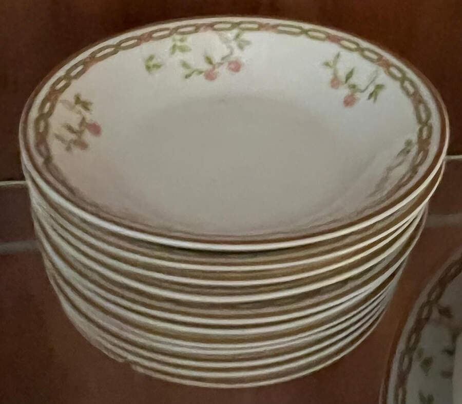 Schleiger 1094 Fruit/Dessert (Sauce) Bowl by Haviland-1