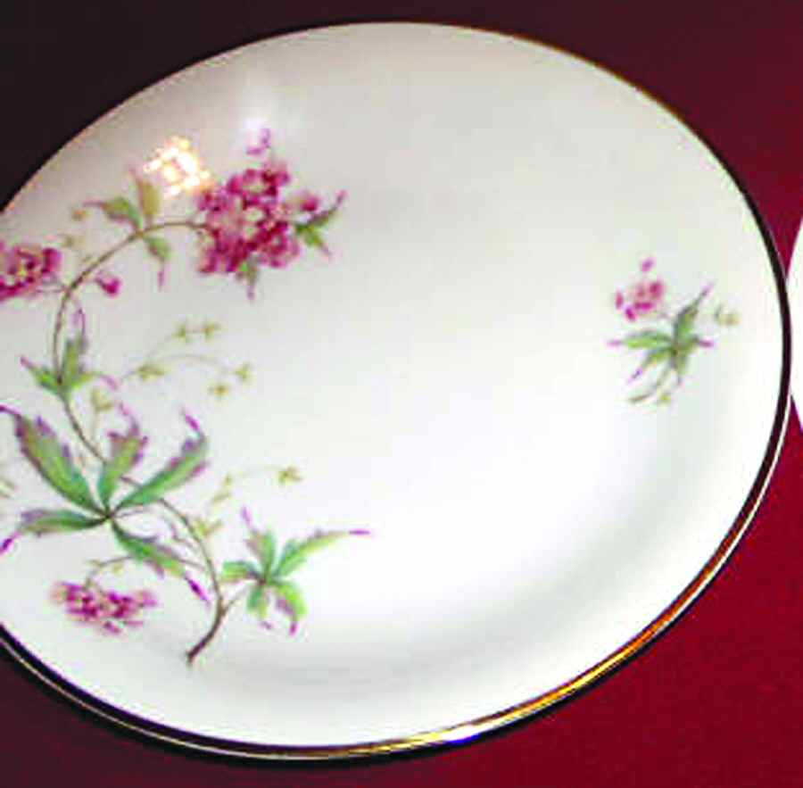 14112 Rim Soup Bowl by Hutschenreuther-1