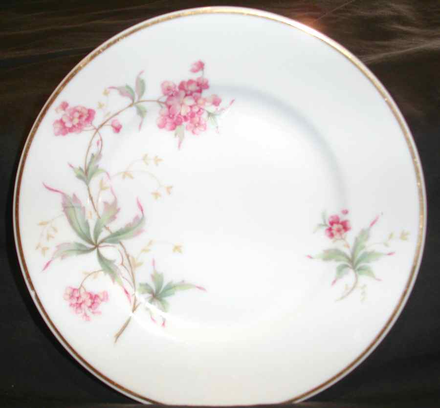14112 Bread & Butter Plate by Hutschenreuther-1