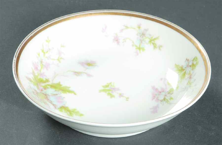 Schleiger 79-6 Fruit/Dessert (Sauce) Bowl by Haviland-1