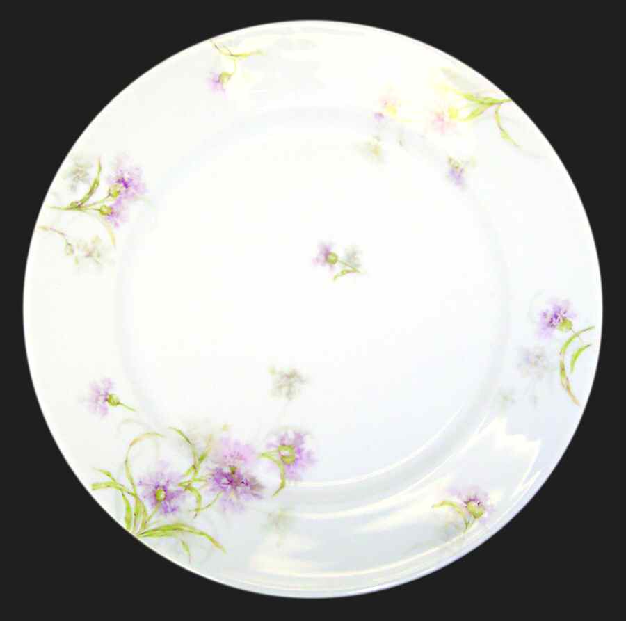 Schleiger 1035-5 Dinner Plate by Haviland-1