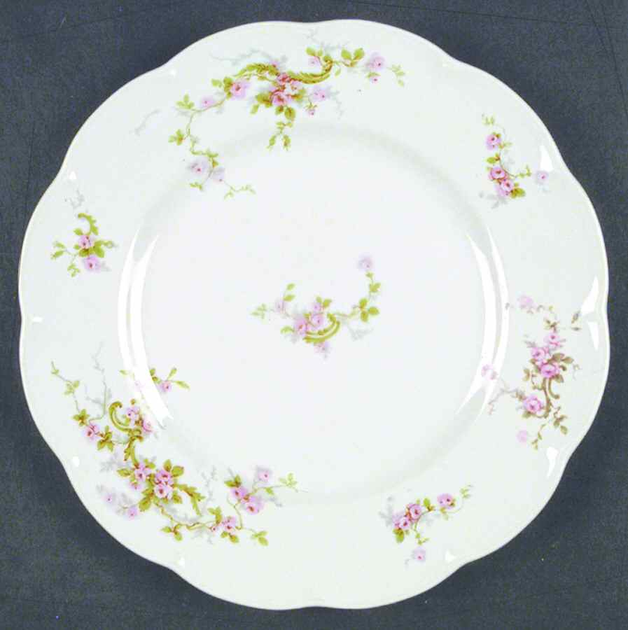 Schleiger 322-2 Dinner Plate by Haviland-1