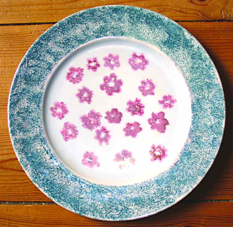 HUT1506 Dinner Plate by Hutschenreuther-1