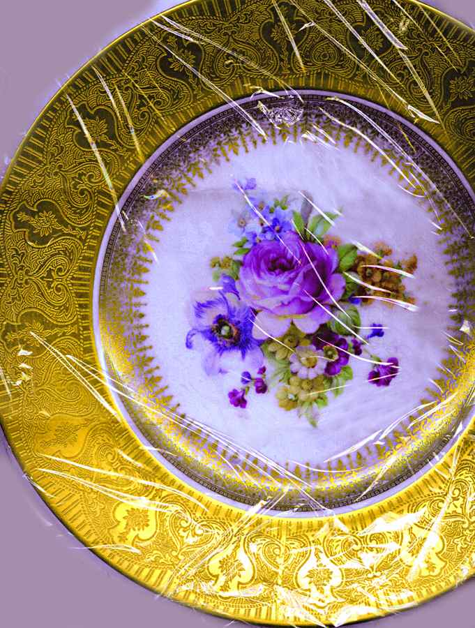 Hut1511 Dinner Plate by Hutschenreuther-1