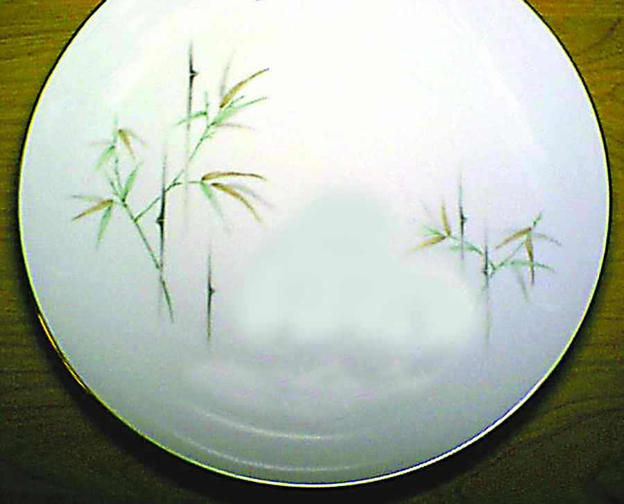 Bamboo Dinner Plate by Hira China-1