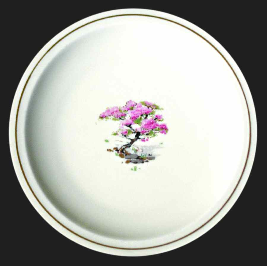 H3227 Dinner Plate by Haviland-1