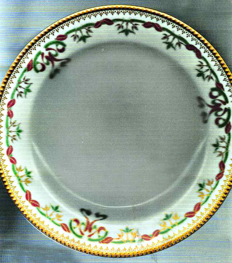 Schleiger 708-4 Dinner Plate by Haviland-1