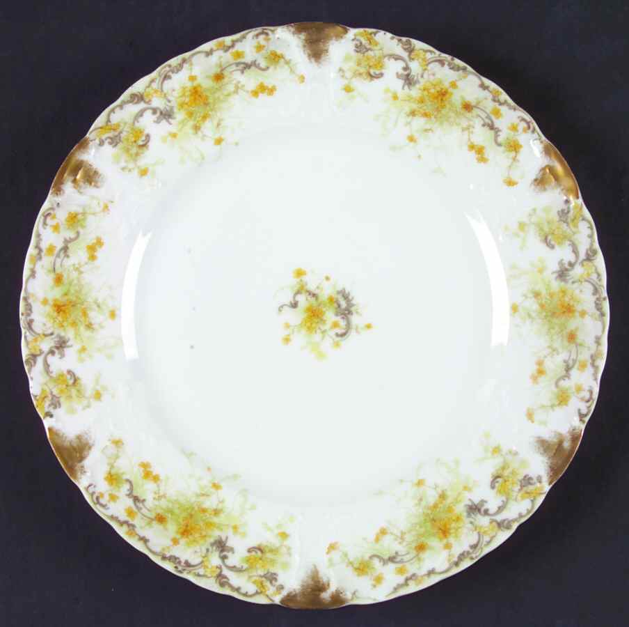 H3233 Dinner Plate by Haviland-1
