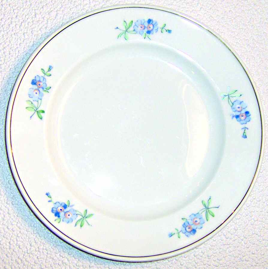HUT1519 Salad Plate by Hutschenreuther-1