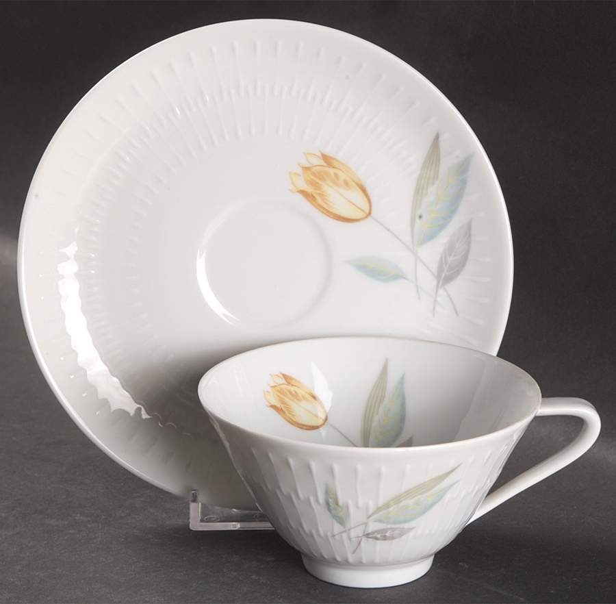 HUT1520 Footed Cup & Saucer Set by Hutschenreuther-1