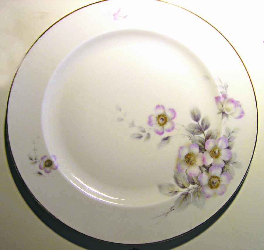 HUT1525 Dinner Plate by Hutschenreuther-1