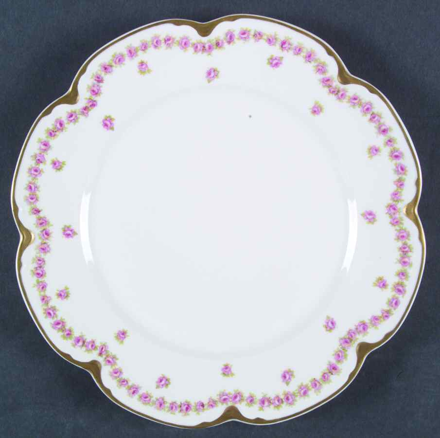 Schleiger 873-2 Dinner Plate by Haviland-1