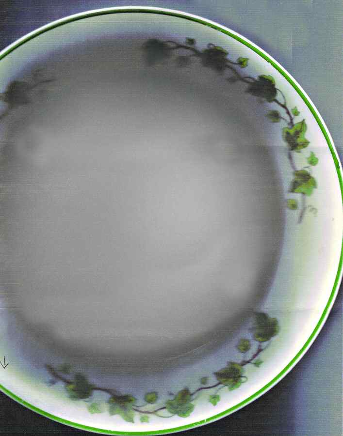 Ivy Dinner Plate by Harker-1