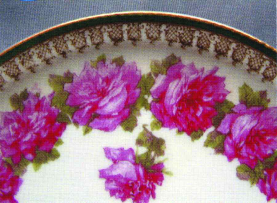 Schleiger 55-17 Dinner Plate by Haviland-1