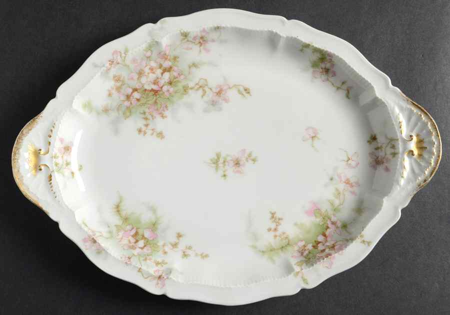 Schleiger 146k 10" Oval Serving Platter by Haviland-1