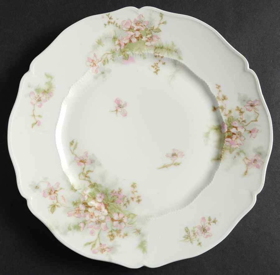 Schleiger 146k Luncheon Plate by Haviland-1