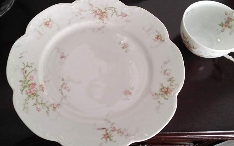 Schleiger 318-9 Dinner Plate by Haviland-1