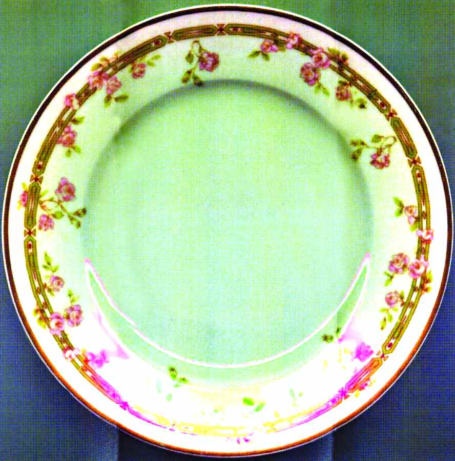 H3261 Salad Plate by Haviland-1