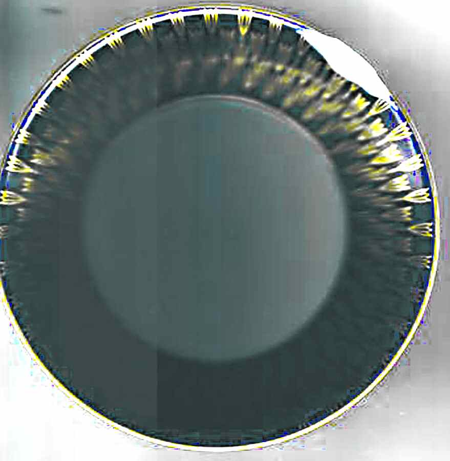 04047 Salad Plate by Hutschenreuther-1