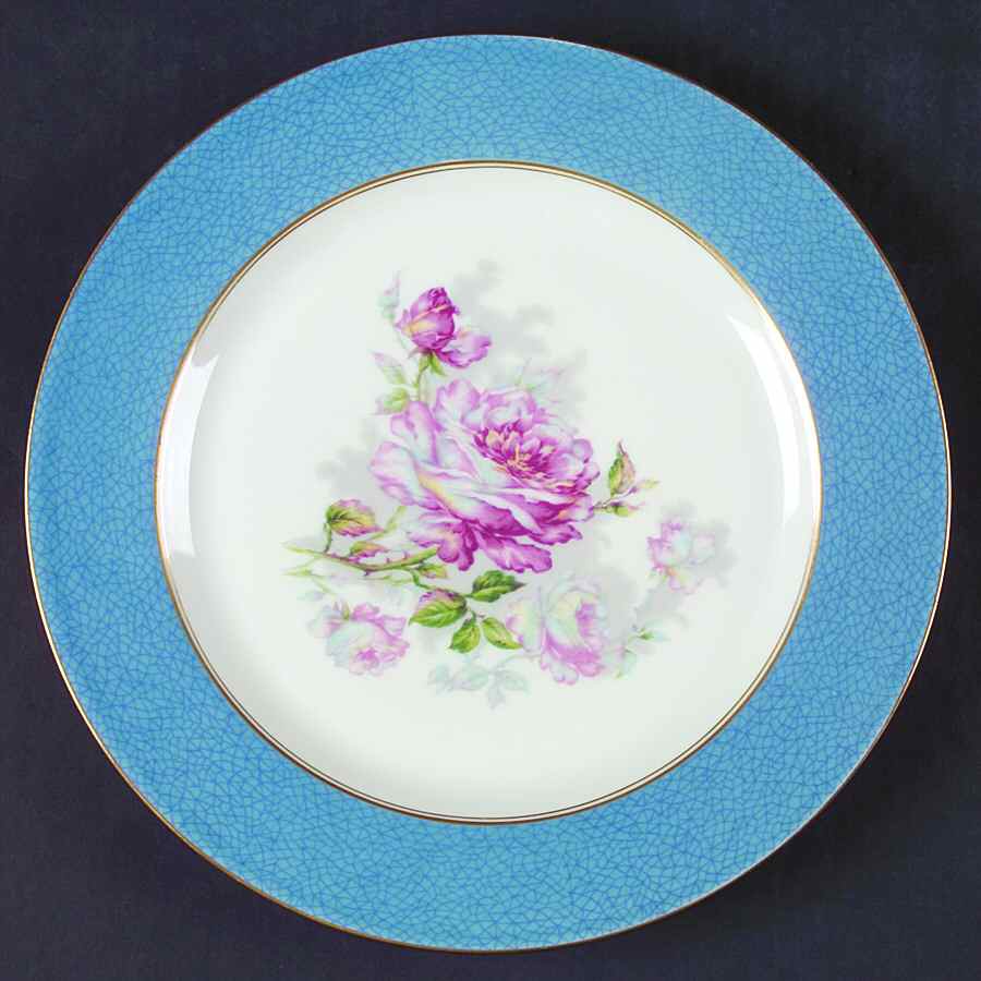 H3263 Dinner Plate by Haviland-1