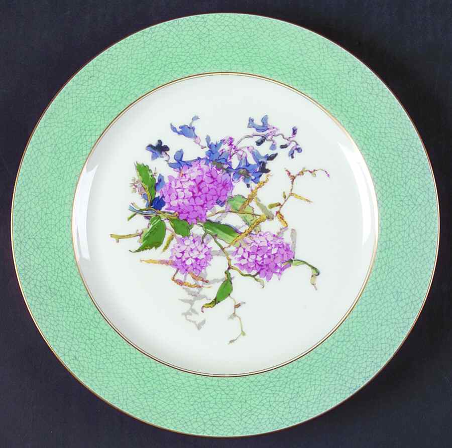 H3263 Dinner Plate by Haviland-1