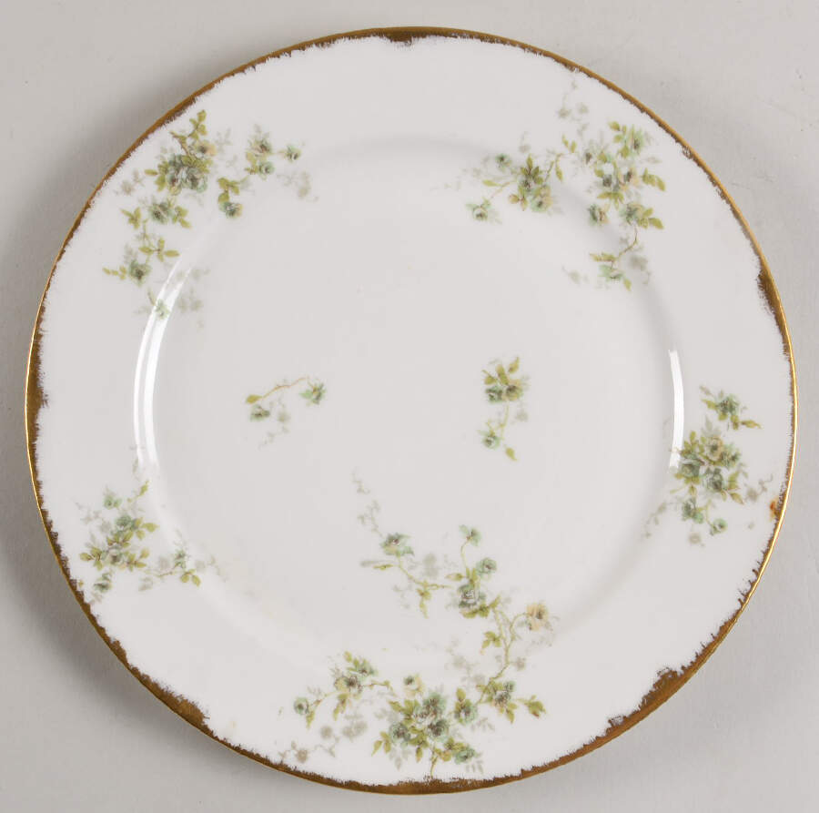 Schleiger 150-14 Dinner Plate by Haviland-1