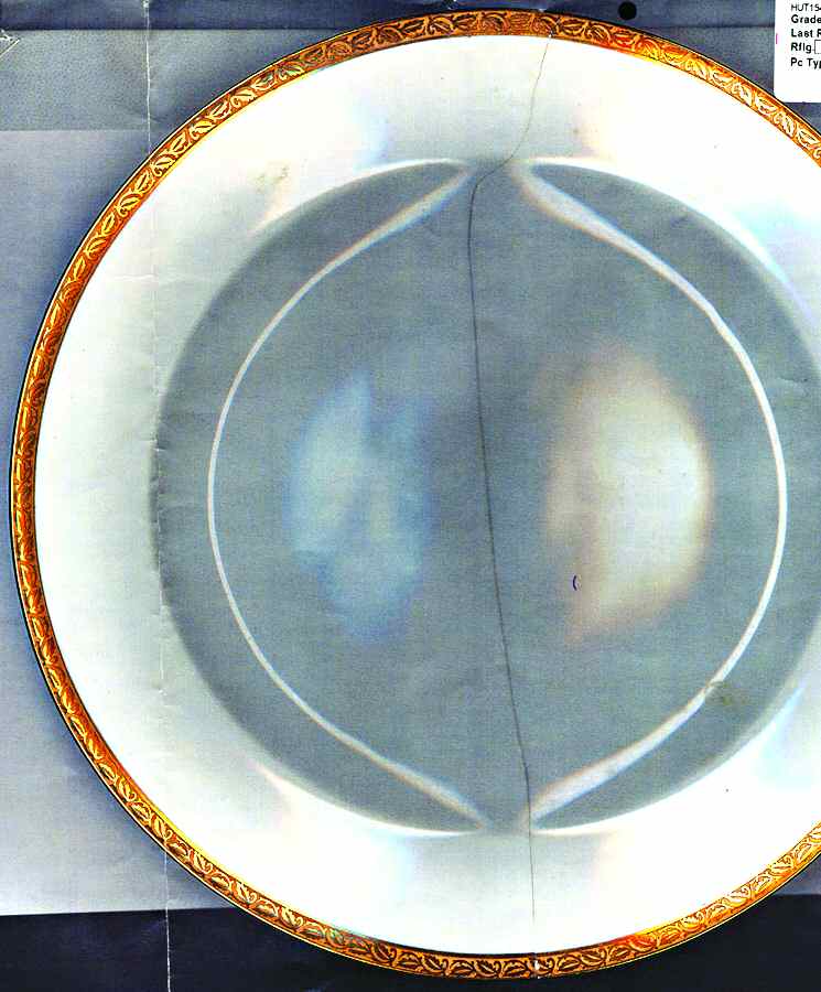 HUT1543 Dinner Plate by Hutschenreuther-1