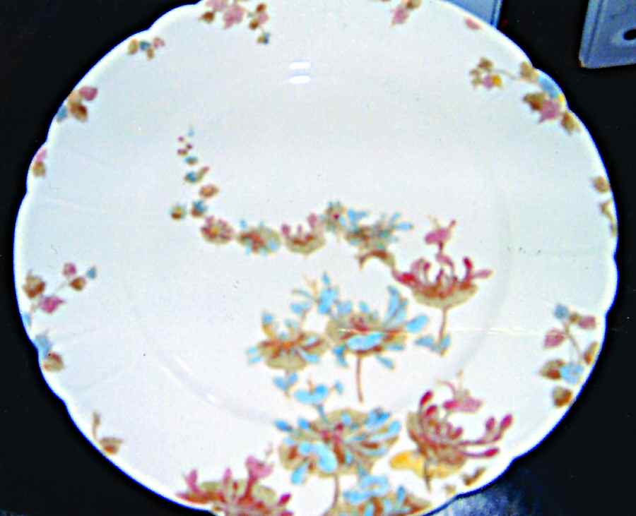 H3268 Dinner Plate by Haviland-1