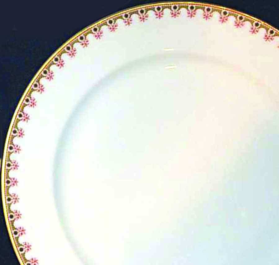 H3271 Dinner Plate by Haviland-1