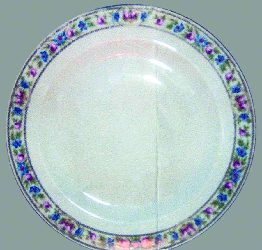 HUT1556 Dinner Plate by Hutschenreuther-1