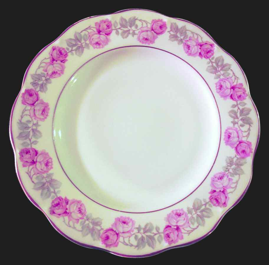 H3276 Dinner Plate by Haviland-1