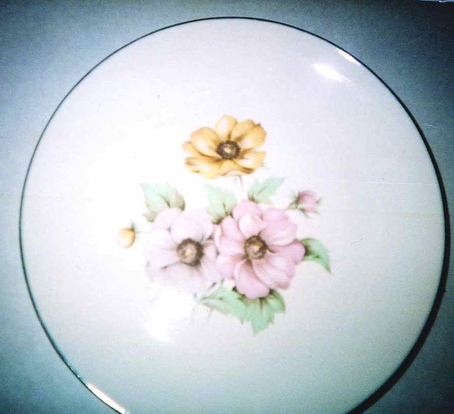RY188 Dinner Plate by Homer Laughlin -1