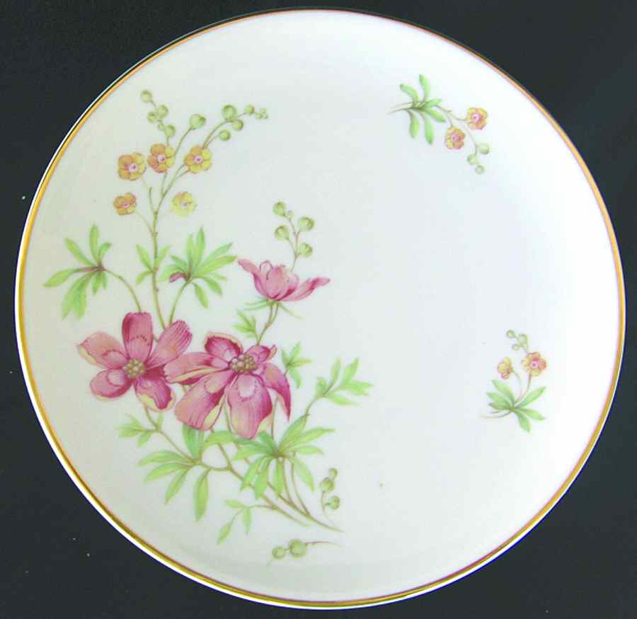 34953 Bread & Butter Plate by Hutschenreuther-1