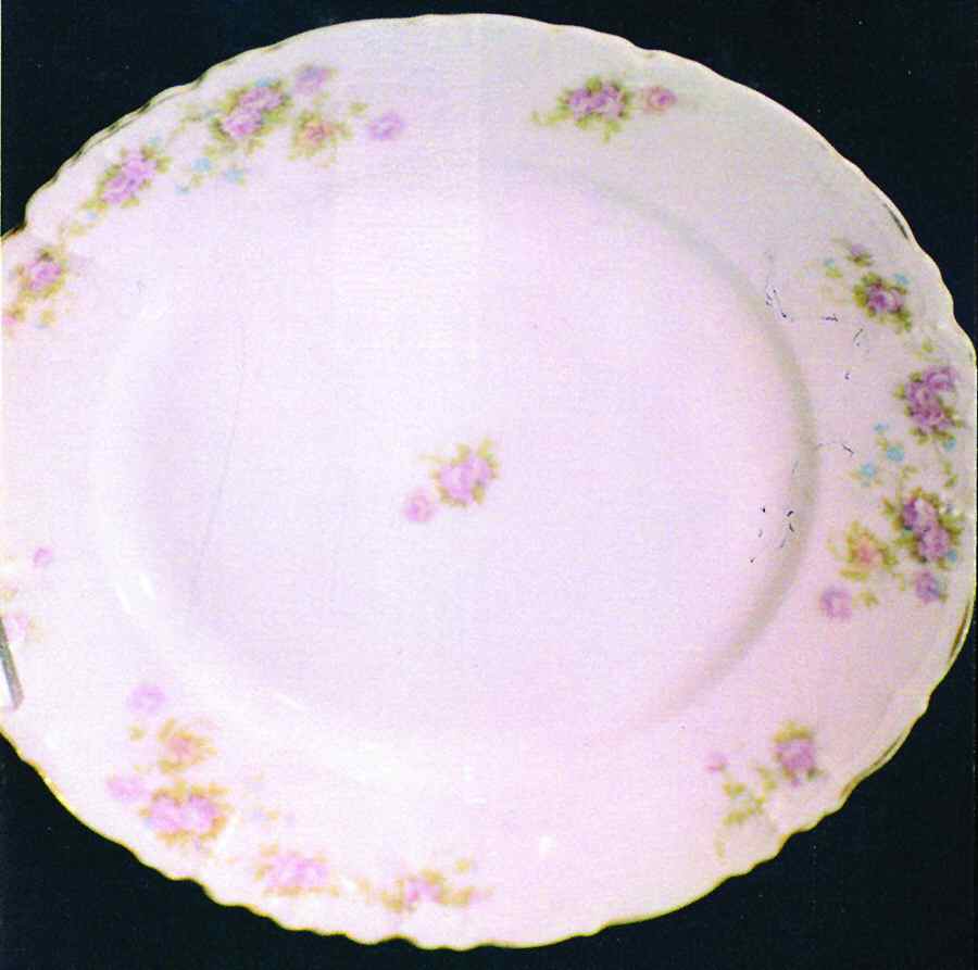 2796 Dinner Plate by Habsburg-1