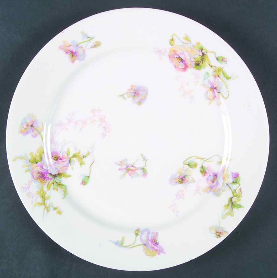 Schleiger 607c Dinner Plate by Haviland-1
