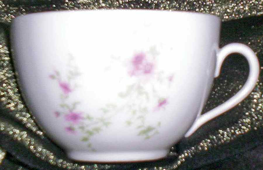 HAB84 Flat Cup by Habsburg-1