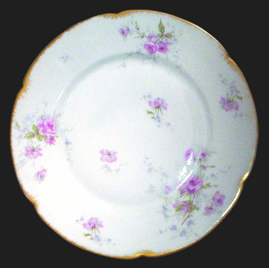 Schleiger 1015-6 Dinner Plate by Haviland-1